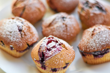 Homemade cupcakes with berries, sweet muffins with bluererries.