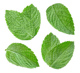 Mint leaf isolated clipping path. Collection mint on white background. Mint macro studio photo