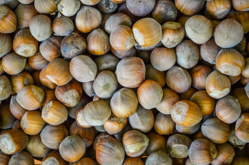 Organic hazelnuts close up background