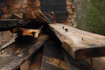 Fototapeta premium burned wood