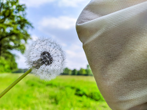 05/06/2020 Italy: Woman trying to blow on a dandelion with a mask. Due to the lockdown even the esyest act of oll the days are difficult and it's hard to feel free and return to the normal life