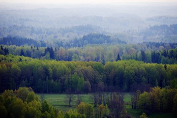 A spring view over forest in Latgale, Latvia