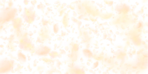 Yellow orange flower petals falling down. Dazzling