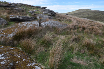 Fototapeta na wymiar Brown Willy from Butter's Tor Bodmin Moor Cornwall