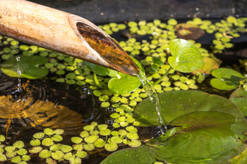 日本のつくばい　和風イメージ