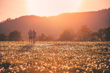 Couple silhouette on dandelions field in spring sunset light