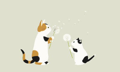 たんぽぽの綿毛を飛ばす遊びをする猫　三毛猫とおかっぱ猫