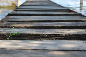 Wooden walkway on the lake
