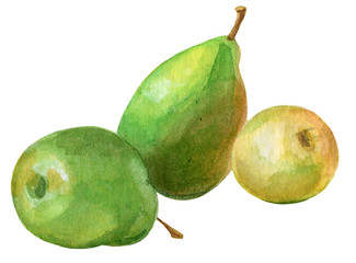 Hand painted watercolor yellow green fruits, apple and pers isolated on the white background