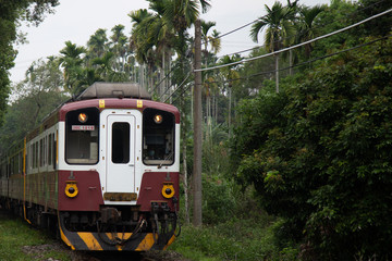 Obraz premium Nantou, Taiwan-4/25/2020: The diesel train on the Jiji line passes through a tunnel made of green trees.