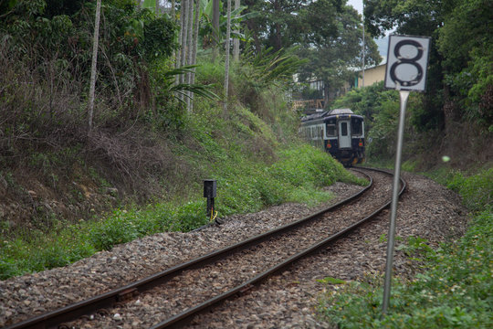 Nantou, Taiwan-4/25/2020: The diesel train on the Jiji line passes through a tunnel made of green trees.