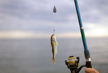 fishing on the beach