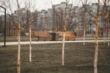 two wooden benches stand in the Park