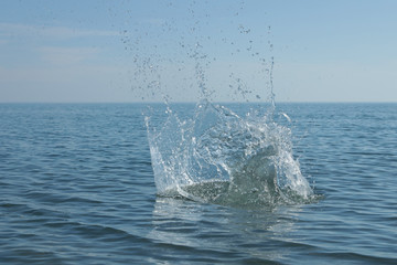 Obraz na płótnie Canvas splash of water