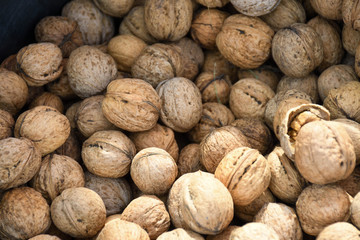 Fresh whole walnuts pile in sunshine display.