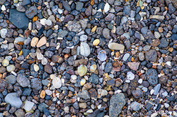 Sea stones seashells macro background textured natural