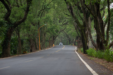 A Curvy Road Of Fresh Green. April 25,2020. At Nantou Jiji Green tunnel- Taiwan.