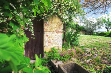 Fototapeta na wymiar Magic door in the garden with beautiful plants