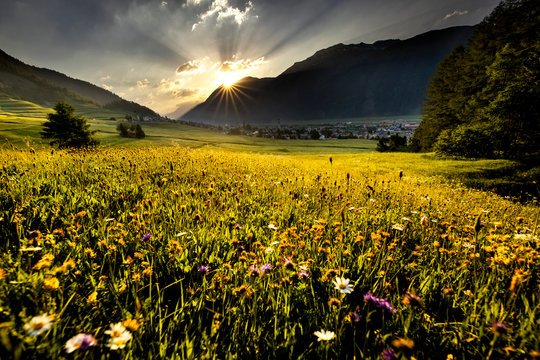 Springtime in the Engadin