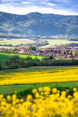 Obraz premium Agricultural spring rural landscape. Yellow and green fields. church and houses in background. Slovakia