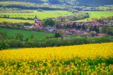 Obraz premium Spring agricultural landscape behind the village