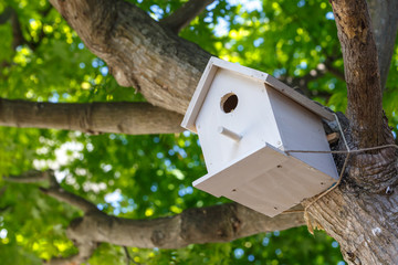鳥の巣箱　自然のイメージ