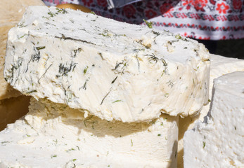 A sliced piece of cheese with dill and spices, for sale on counter top, during food festival.