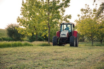 Obraz premium Tractor on the grass field