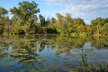 Natural area with several lakes along Sava river in Croatia