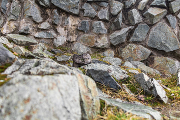 Stones of various shapes, sizes and shades with growing green grass