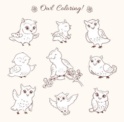 Fototapeta premium Owls coloring page