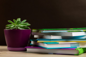 Stack of books on a table and a ceramic pot with a succulent plant. Copyspace. Home schooling and reading enjoyment concept.