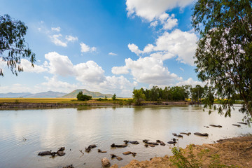 Views of Vietnam Mekong Delta