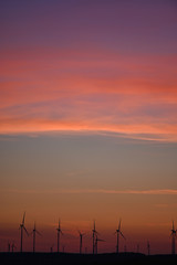 Windräder zur Stromerzeugung aus Windenergie am Horizont im Abendrot nach Sonnentungergang