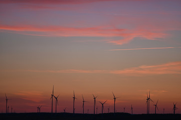 Windräder zur Stromerzeugung aus Windenergie am Horizont im Abendrot nach Sonnentungergang