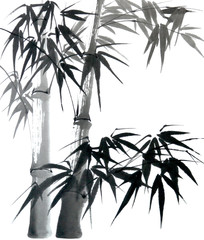 Oriental style painting of bamboo. Traditional chinese ink and wash painting isolated on white background. Original hand drawn watercolor stock illustration. © Viktoria