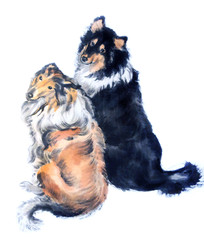 Oriental style painting of two sitting dogs. Traditional chinese ink and wash painting isolated on white background. Original hand drawn black and white watercolor stock illustration.