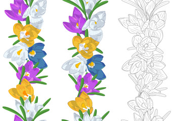 Hand drawn colorful and monochrome crocus flowers seamless brushes. Floral endless borders set. Isolated on white background. Vector illustration