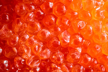 red caviar close up background