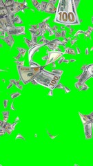 Flying dollars banknotes isolated on chromakey. Money is flying in the air. 100 US banknotes new sample. Vertical orientation. 3D illustration