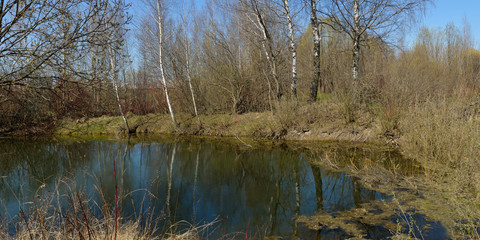 Summer fishing on the lake, Perccottus glenii
