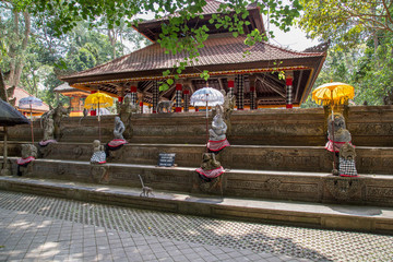 Monkey forest, ubub, Bali Island