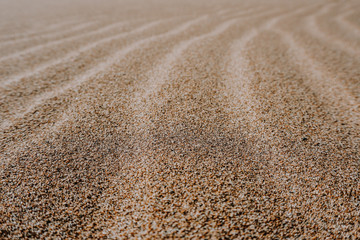 Close up beach sand texture photo. Relaxing background photo of little dunes created by the wind.