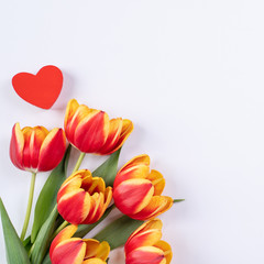 Mother's Day, Valentine's Day background, tulip flower bunch - Beautiful Red, yellow bouquet isolated on white table, top view, flat lay, mock up design concept.