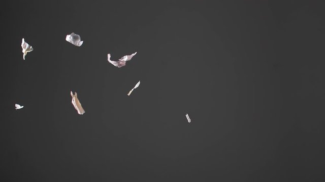 Garlic husk flies and falls from top to bottom. Fresh organic vegetable garlic falls against black or gray background. Slow motion. Prevention of Coronavirus or COVID-19. Good for immunity