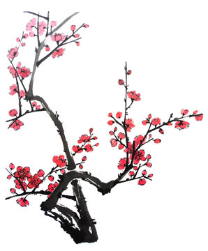 A branch of a blossoming tree. Pink and red stylized flowers of plum mei, wild apricots and sakura. Watercolor and ink illustration in style sumi-e. Traditional chinese ink painting.