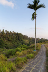 Bukit Campuhan, Ubud, Bali island, Indonesia