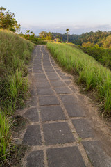 Bukit Campuhan, Ubud, Bali island, Indonesia