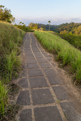 Fototapeta na wymiar Bukit Campuhan, Ubud, Bali island, Indonesia