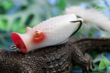 ワニとフロッグ